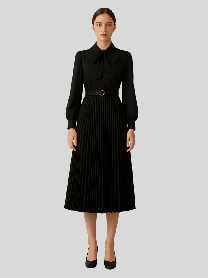 WLS Irregular Slim Pleated A-Line Dress