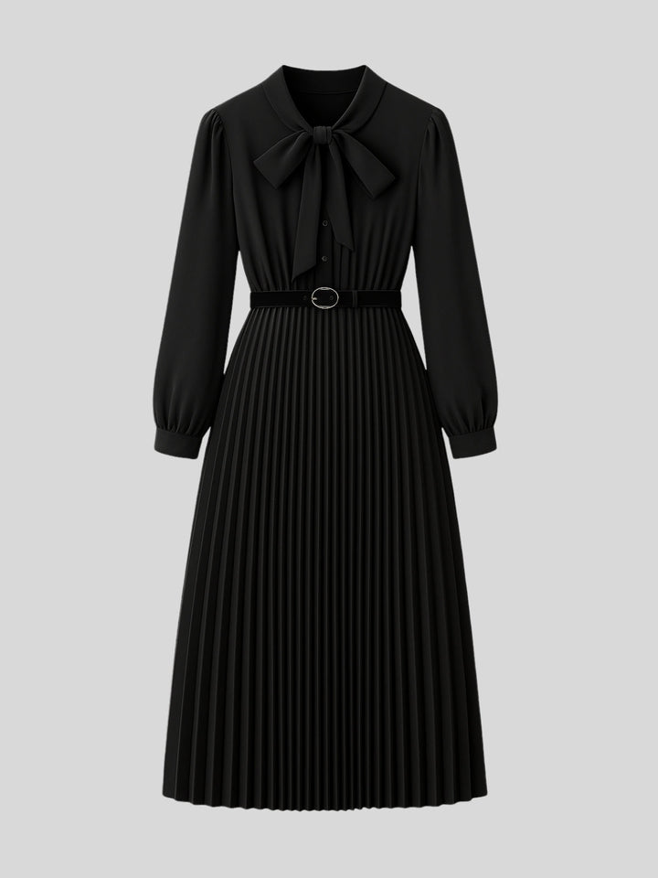 WLS Irregular Slim Pleated A-Line Dress