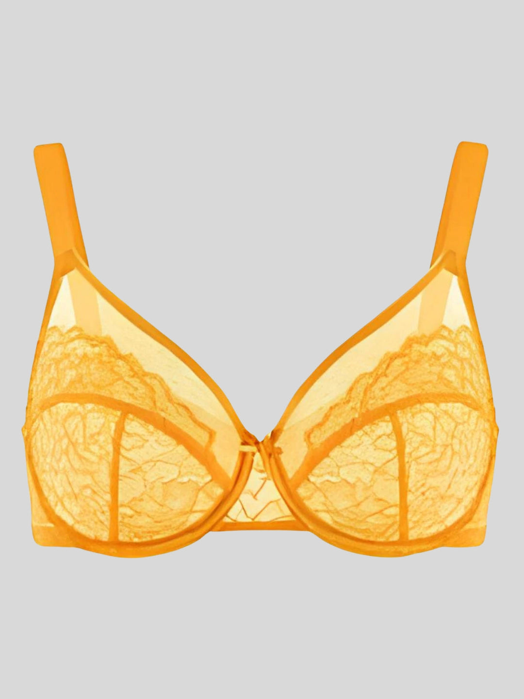 Enchante Floral Lace Unlined Comfort Non-padded Full Coverage Plus Size Underwire Bra