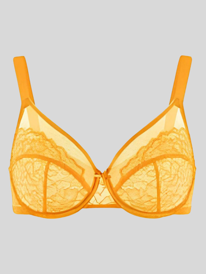 Enchante Floral Lace Unlined Comfort Non-padded Full Coverage Plus Size Underwire Bra