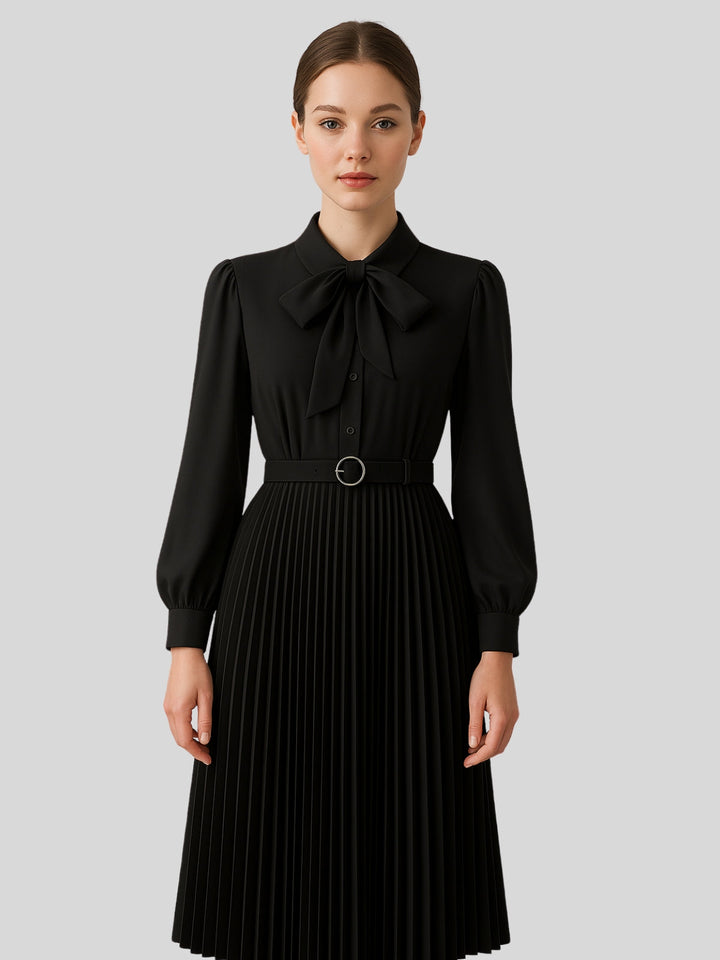 WLS Irregular Slim Pleated A-Line Dress